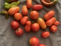 tomatoes_and_peppers