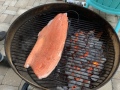 salmon_filet