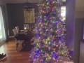 christmas_tree_22