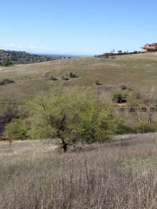 Taking a hike with Teagan